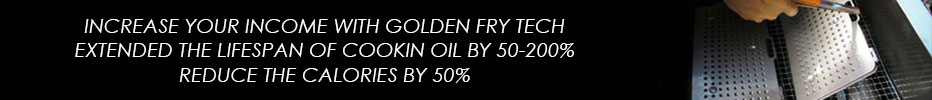 Golden Fry Tech Oil Saving Plate
